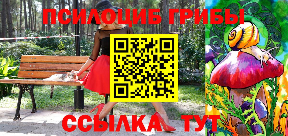 Новоуральск  Псилоцибиновые грибы мухоморы  Вход с VPN  Псилоцибиновые грибы ЛСД 