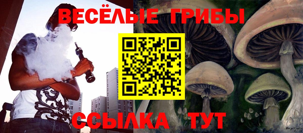 Псилоцибиновые грибы Magic Shrooms Новоуральск